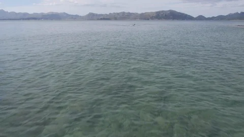Drone flying by over a swimmer Stock Footage 118838389