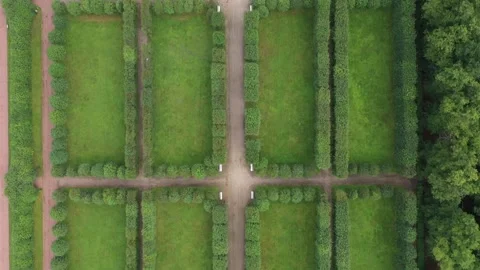 Drone flying over symmetrical hedge corridors Video stock 321896838