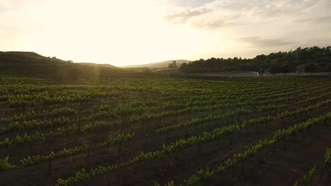 Drone flying over Temecula Wine Country Stock Footage