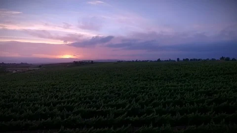 Drone flying over Temecula Wine Country Stock Footage 76238051