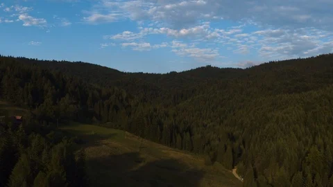 Drone flying over a thick pine forest amidst mountain peaks 4k HDR H264 Stock Footage 88317057
