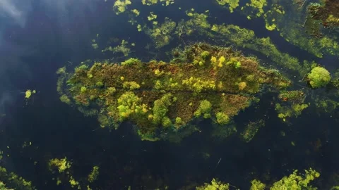 Drone flying over tiny island in dark forest lake 4K Stock Footage 237375176