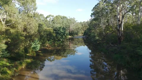Drone flying over a tranquil river in an australian forest Stockbeeldmateriaal 336363097
