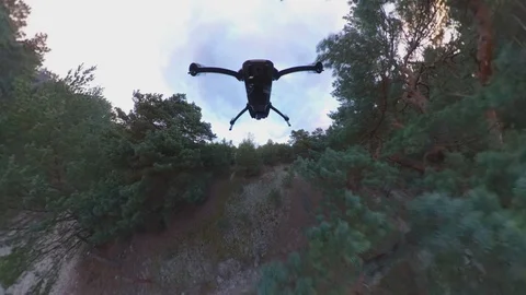 Drone Flying Over Trees and Dunes Tracking Shot POV Stock Footage 126831928