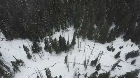 Drone flying over trees and frozen river BC Canada Stock Footage 149460749