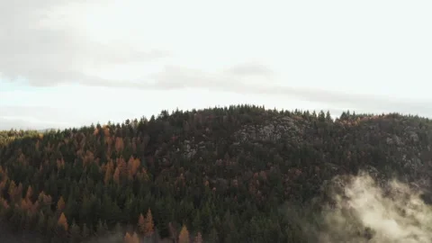 Drone Flying Over Trees and Low Clouds Near Loch Ness Stock-Footage 285534189