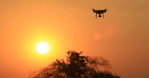 The drone is flying over the trees during the sunset. Stock Footage 139024364