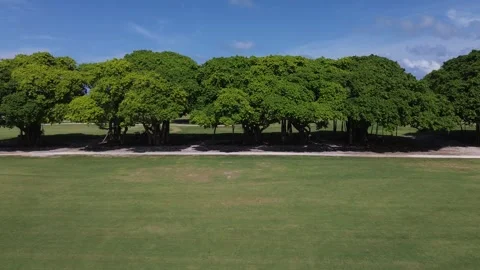 Drone flying over treetops revealing a panoramic view of a golf course in Fl Stock Footage 340518475
