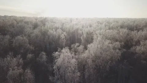 Drone flying over treetops in winter 動画素材 333603867