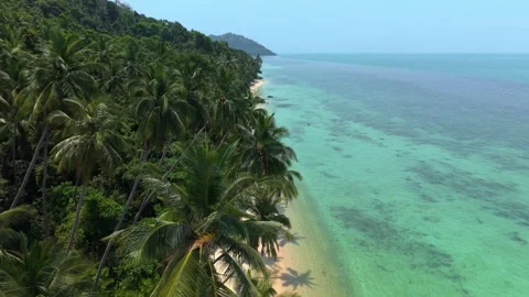 Drone flying over tropical beach and palm trees Stock Footage 310622847