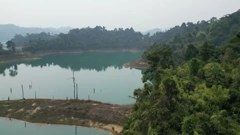 Drone Flying Over a Tropical Rainforest Lake in Khao Sok, Thailand Stock Footage 335579620