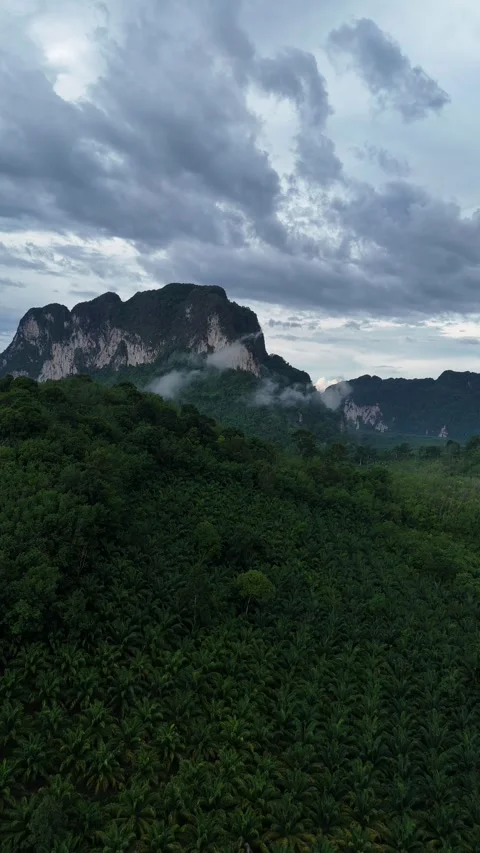 Drone Flying Over Tropical Rainforest and Mountains in Ao Nang, Krabi, Thailand Stock Footage 335962135