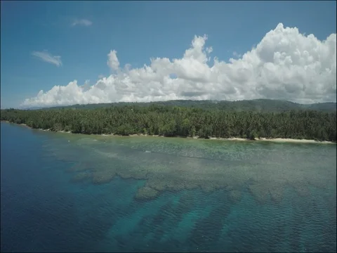 Drone flying over tropical reef. Solomon Islands Stock Footage