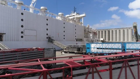 Drone flying over trucks about to load cattle onto livestock ship. Stock Footage 97495178