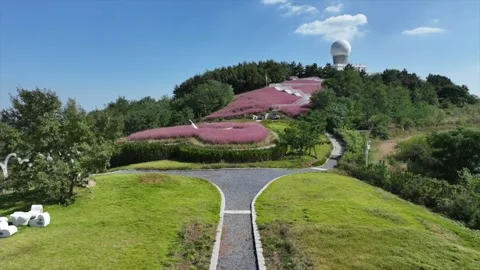 Drone flying over a vibrant butterfly themed park with pink flowers and lush Stock Footage 340106164