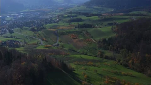 Drone Flying over the vineyard and forest in Switzerland. Video stock 149073580