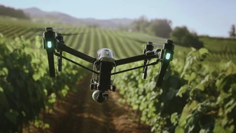 Drone Flying Over Vineyard Rows Agricultural Technology Precision Farming Stock Footage 294607280