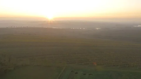 Drone flying over vineyard, sunset Stock Footage 78907982
