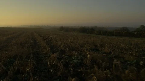 Drone flying over vineyard, sunset Stock Footage 78908162