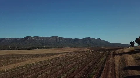 Drone flying over vineyards Stock Footage 125016503