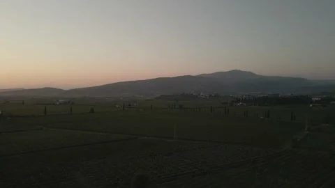 Drone flying over vineyards Stock Footage 138134694