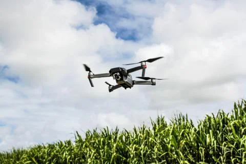 Drone flying over a wheat field Stock Photos