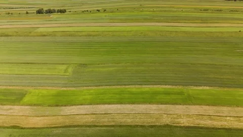 Drone flying parallel to colorful stripes on a field in summer Stock Footage 317833828
