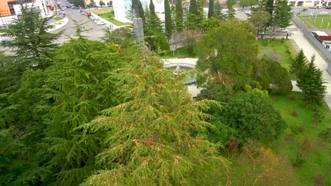 Drone flying on Park Stock Footage 82347195