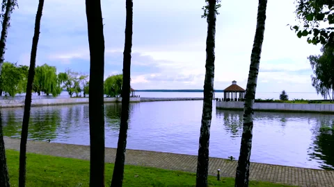 Drone flying past the trees in the direction of the old lighthouse on the river Stock Footage 231857069