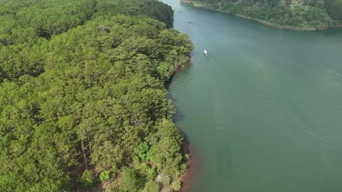 Drone flying from pine forest toward lake with boats and wake trails 動画素材 336972097