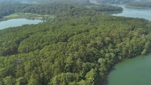 Drone flying from pine forest toward Tuyen Lam Lake with boats below 動画素材 336972470