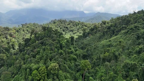 Drone flying into primary forest in Song Hinh, Dak Lak (Phu Yen), Vietnam Stock Footage 339174259
