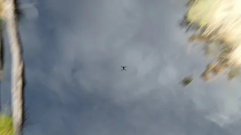 Drone Flying Quickly Over Peat Bog, 4K 動画素材 219140619