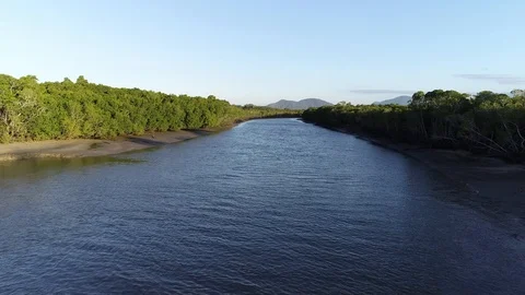 Drone Flying Up River With Mangroves Stock Footage 100308864