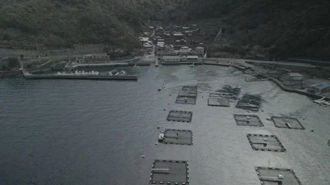 Drone Flying from the Sea Over Fish Farms Toward Coastal Village, Ehime, Japan Stock Footage 302395103