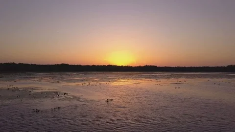 Drone Flying Sideways over Lake at Sunset in Ocala in 4K Video stock 93853247