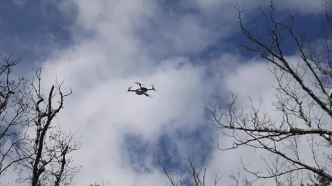 Drone flying in the sky during winter with bare trees Stock Footage 300899300