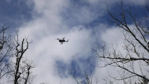 Drone flying in the sky during winter with bare trees Stock Footage 300900103