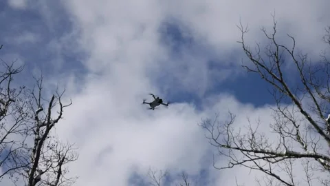 Drone flying in the sky during winter with bare trees Stock Footage 300900237