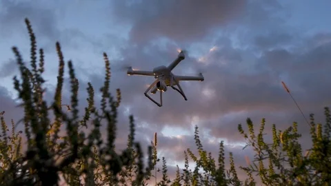 Drone Flying Slow Motion 4k Footage Stock Footage 95285699