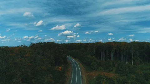 Drone flying slowly backwards over woodland with areas of young trees grown Stock Footage 125028597