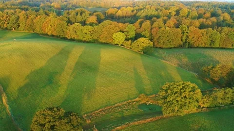 Drone flying slowly backwards over beautiful Danish summer landscape Stock Footage 278363458