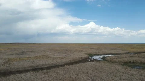 Drone flying slowly forward over a vast marsh with fall or spring colors.  Stock Footage 154121533