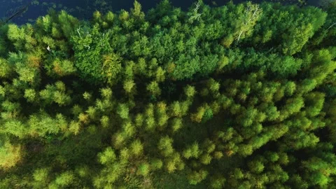 Drone flying slowly forward over forest and lake 4K Video stock 237375213