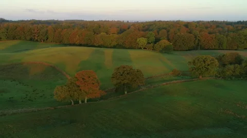 Drone flying slowly forward over beautiful Danish summer landscape Stock Footage 278363926