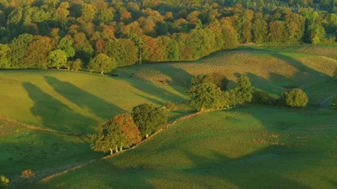 Drone flying slowly forward over beautiful Danish summer countryside Stock Footage 278363958