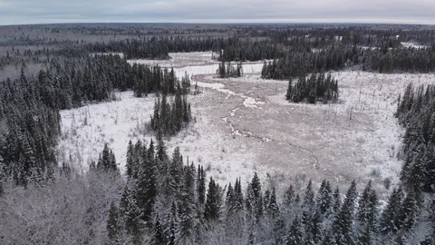 Drone flying slowly high above a winter scene with a snow covered beaver pond Stock Footage 120744376