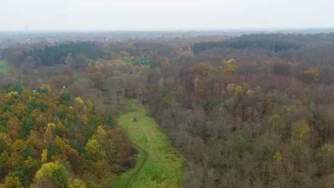 Drone flying slowly over beautiful autumn forest 4K 3 Video stock 237375202