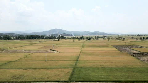 Drone flying slowly over a large crop area between the mountains of Vietnam on a Video stock 276621325