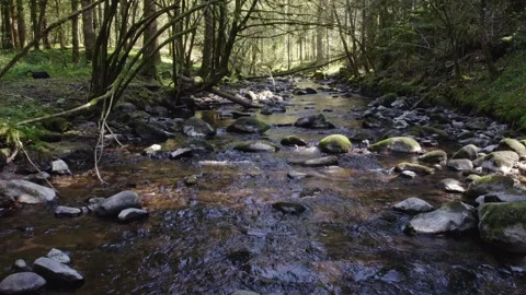 Drone flying slowly over river stream on sunny spring day Vosges Stock Footage 306805440